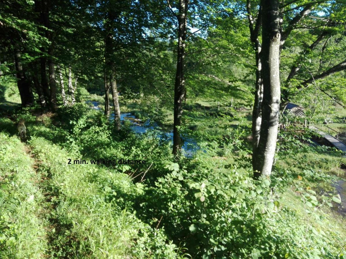 House By The River Plitvica selo Exterior photo