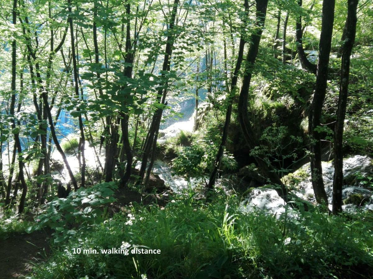 House By The River Plitvica selo Exterior photo